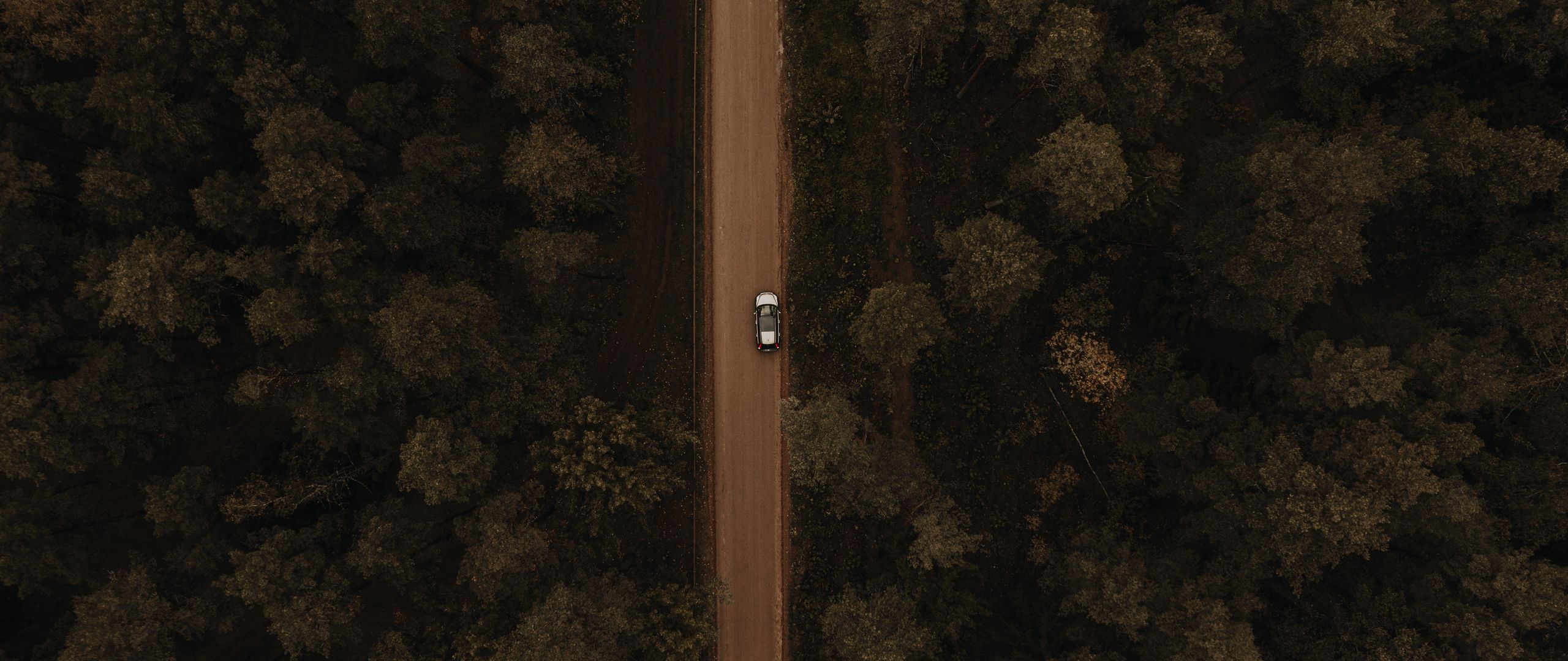 Download wallpaper 2560x1080 road, aerial view, trees, car, forest dual