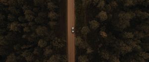 Preview wallpaper road, aerial view, trees, car, forest