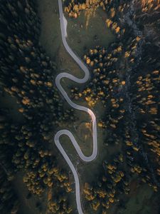 Preview wallpaper road, aerial view, trees, hill, winding