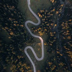 Preview wallpaper road, aerial view, trees, hill, winding