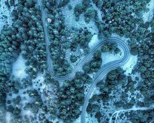Preview wallpaper road, aerial view, winding, trees, treetops