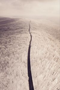 Preview wallpaper road, aerial view, winter, snow, forest, trees