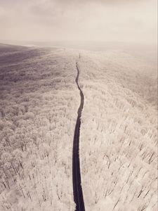 Preview wallpaper road, aerial view, winter, snow, forest, trees