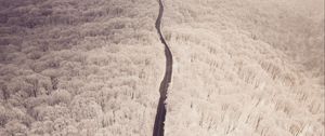 Preview wallpaper road, aerial view, winter, snow, forest, trees