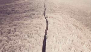 Preview wallpaper road, aerial view, winter, snow, forest, trees