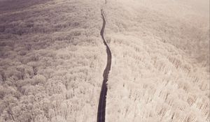 Preview wallpaper road, aerial view, winter, snow, forest, trees
