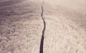 Preview wallpaper road, aerial view, winter, snow, forest, trees