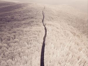 Preview wallpaper road, aerial view, winter, snow, forest, trees