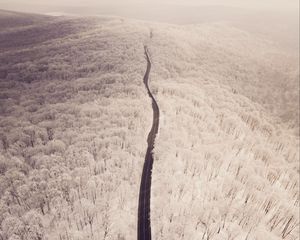 Preview wallpaper road, aerial view, winter, snow, forest, trees