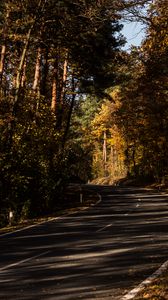 Preview wallpaper road, alley, autumn, trees