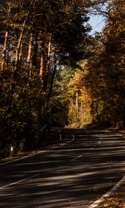 Preview wallpaper road, alley, autumn, trees