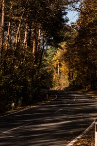 Preview wallpaper road, alley, autumn, trees