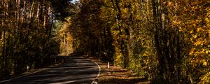 Preview wallpaper road, alley, autumn, trees