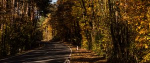 Preview wallpaper road, alley, autumn, trees