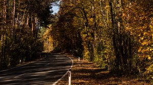 Preview wallpaper road, alley, autumn, trees