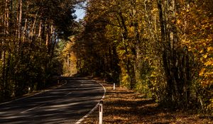 Preview wallpaper road, alley, autumn, trees