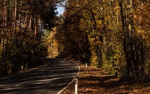 Preview wallpaper road, alley, autumn, trees