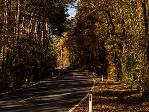 Preview wallpaper road, alley, autumn, trees