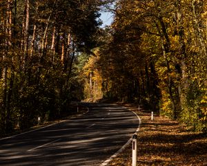 Preview wallpaper road, alley, autumn, trees