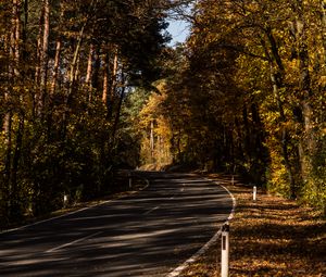 Preview wallpaper road, alley, autumn, trees