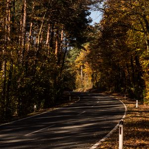 Preview wallpaper road, alley, autumn, trees