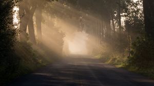 Preview wallpaper road, alley, fog, trees