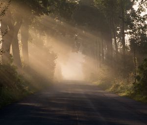 Preview wallpaper road, alley, fog, trees