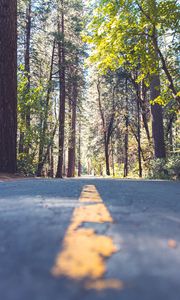 Preview wallpaper road, alley, marking, trees