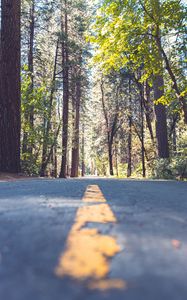 Preview wallpaper road, alley, marking, trees