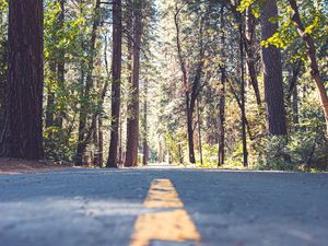 Preview wallpaper road, alley, marking, trees