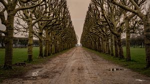 Preview wallpaper road, alley, trees, sky