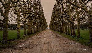 Preview wallpaper road, alley, trees, sky