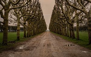 Preview wallpaper road, alley, trees, sky