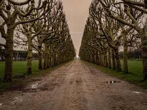 Preview wallpaper road, alley, trees, sky