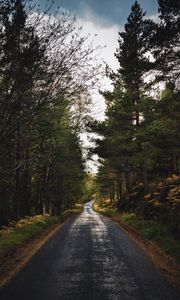 Preview wallpaper road, alley, trees, distance