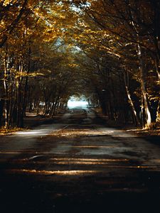 Preview wallpaper road, alley, trees, rays