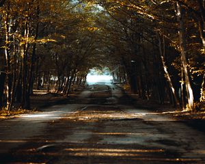 Preview wallpaper road, alley, trees, rays