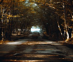 Preview wallpaper road, alley, trees, rays