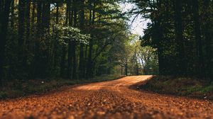 Preview wallpaper road, alley, trees, branches, distance