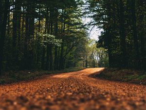 Preview wallpaper road, alley, trees, branches, distance