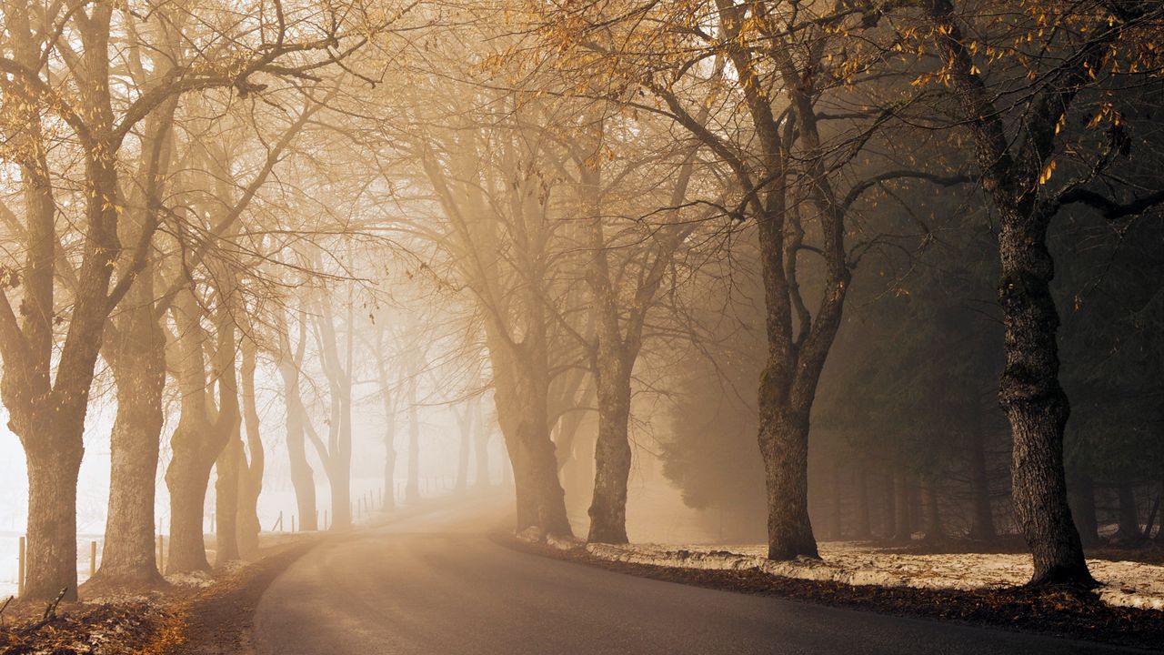 Wallpaper road, alley, turn, fog, asphalt, mist, morning, autumn
