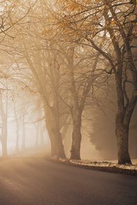 Preview wallpaper road, alley, turn, fog, asphalt, mist, morning, autumn