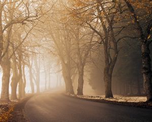 Preview wallpaper road, alley, turn, fog, asphalt, mist, morning, autumn