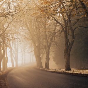 Preview wallpaper road, alley, turn, fog, asphalt, mist, morning, autumn