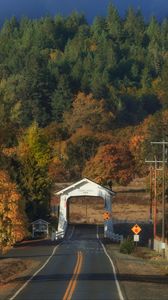 Preview wallpaper road, arch, forest, autumn