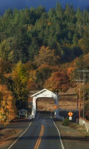 Preview wallpaper road, arch, forest, autumn