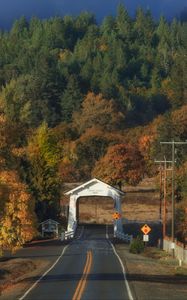 Preview wallpaper road, arch, forest, autumn
