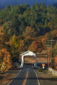 Preview wallpaper road, arch, forest, autumn