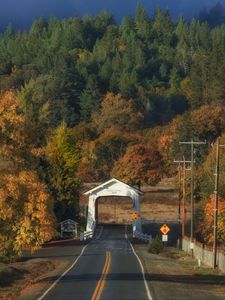 Preview wallpaper road, arch, forest, autumn