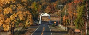 Preview wallpaper road, arch, forest, autumn